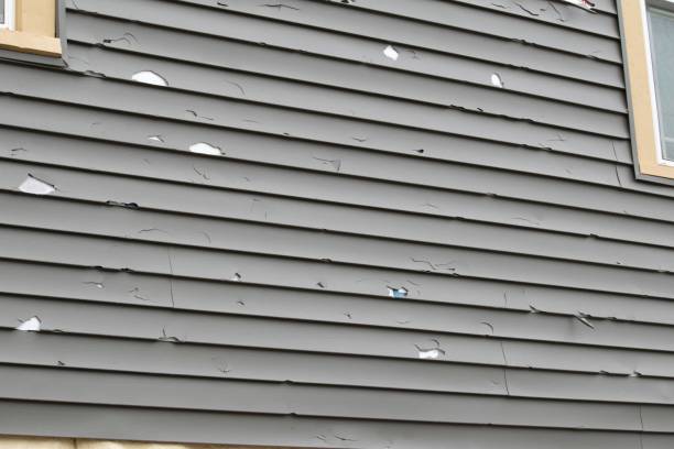 Best Composite Siding  in North Decatur, GA